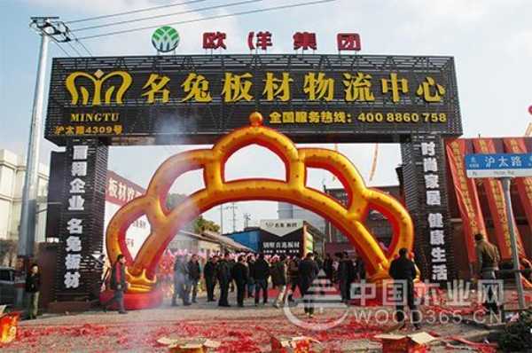 十大板材投票如火如荼，名兔希望您的支持！