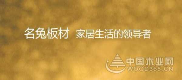 十大板材投票如火如荼，名兔希望您的支持！