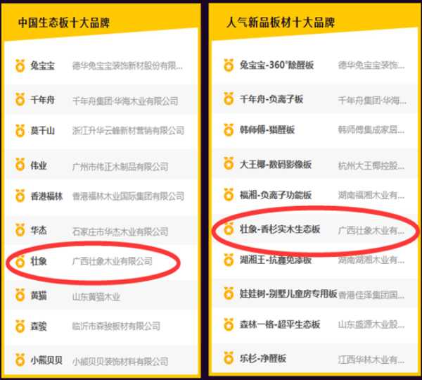 壮象斩获“中国十大生态板”和“人气新品板材十大品牌”