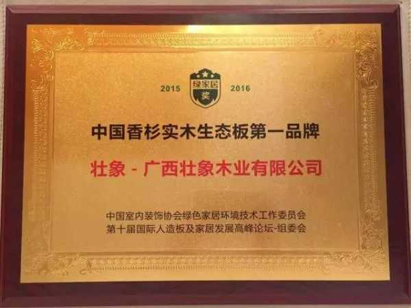壮象斩获“中国十大生态板”和“人气新品板材十大品牌”