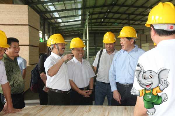 十大生态板壮象：不到两月引来两位主席莅临调研