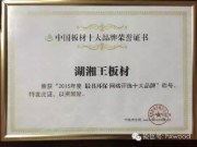 中国板材十大品牌——湖湘王板材获奖证书！
