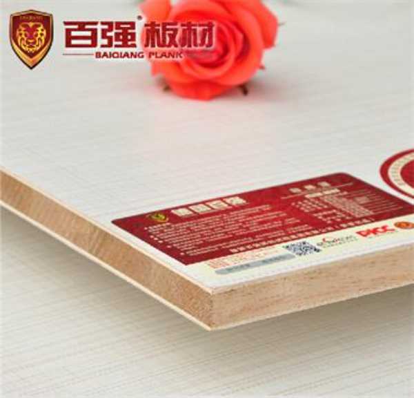 2015网评生态板十大品牌之德国百强：追求完美