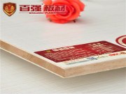 2015网评生态板十大品牌之德国百强：追求完美