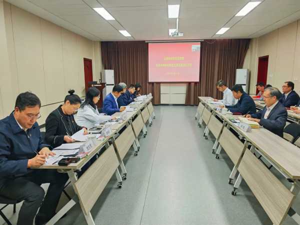 北新建材党委对梦牌新材料有限公司党支部开展巡察工作