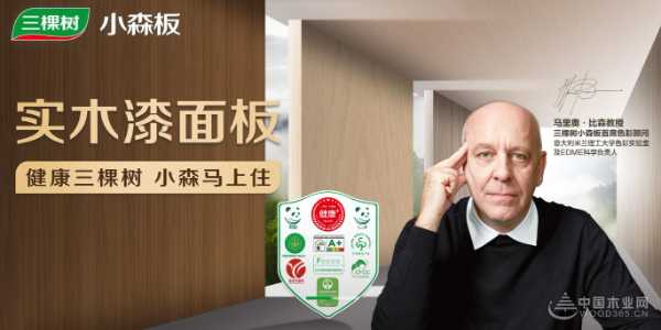 2024环保板材品牌排行榜前十名_环保板材十大品牌排行榜-木业网