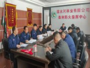 春风十里防火先行 绿水青山责任共担——露水河公司开展清明节专项行动 全力守护绿色家园