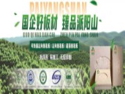 国企好板材 臻品派阳山|擎画绿色家居创新、多元新发展！