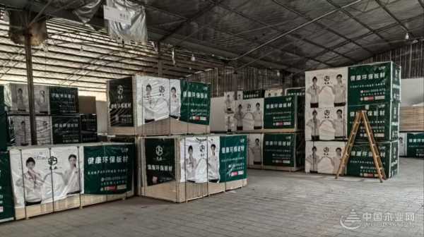 深化区域服务 杰业木业浙江运营仓开启高效发展新篇章
