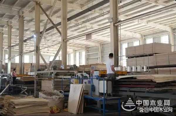 2024 金匠榜家具板十大品牌揭晓：行业标杆引领品质新高度