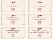 霸榜了！北新建材全品牌荣获“2025房建供应链综合实力TOP500首 选供应商”等多项荣誉