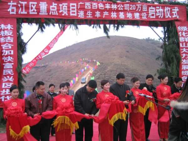 植此青绿正当时，绿色发展向未来：丰林集团二十六年造林实践之路