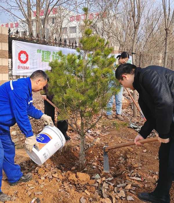 植树节｜“建设绿色家园 建材助力双碳”主题党日活动
