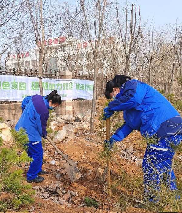 植树节｜“建设绿色家园 建材助力双碳”主题党日活动