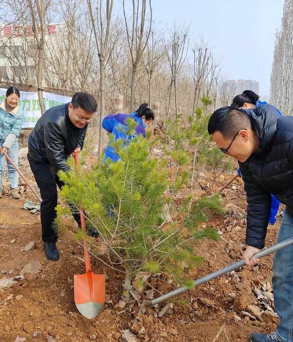 植树节｜“建设绿色家园 建材助力双碳”主题党日活动