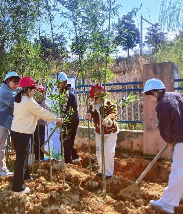 植树节｜“建设绿色家园 建材助力双碳”主题党日活动