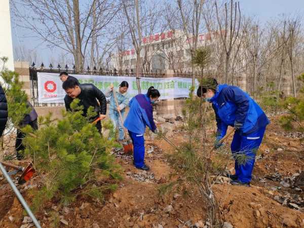 植树节｜“建设绿色家园 建材助力双碳”主题党日活动