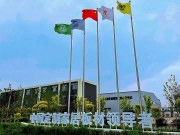 破局领航 新品启幕丨尼尔科达2025新品VIP品鉴会 颠覆板材传统想象！