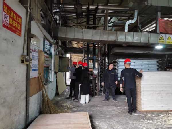 夯筑安全防线 广西伟新木业投资集团开展复工复产安全检查