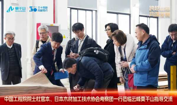 跨越山海 共谋发展｜中国工程院院士杜官本、日本木材加工技术协会考察团一行莅临云峰莫干山指导交流