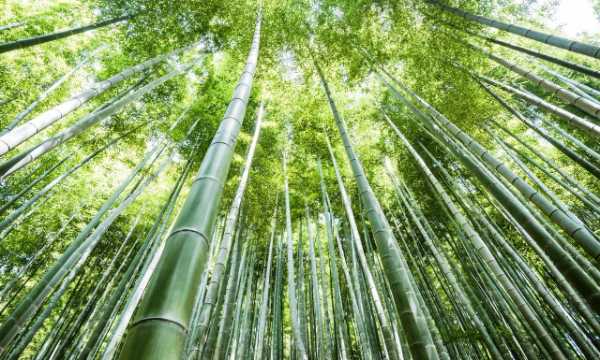 纹艺觉醒 生生不烯丨千年舟2025武汉新品发布会盛大举行