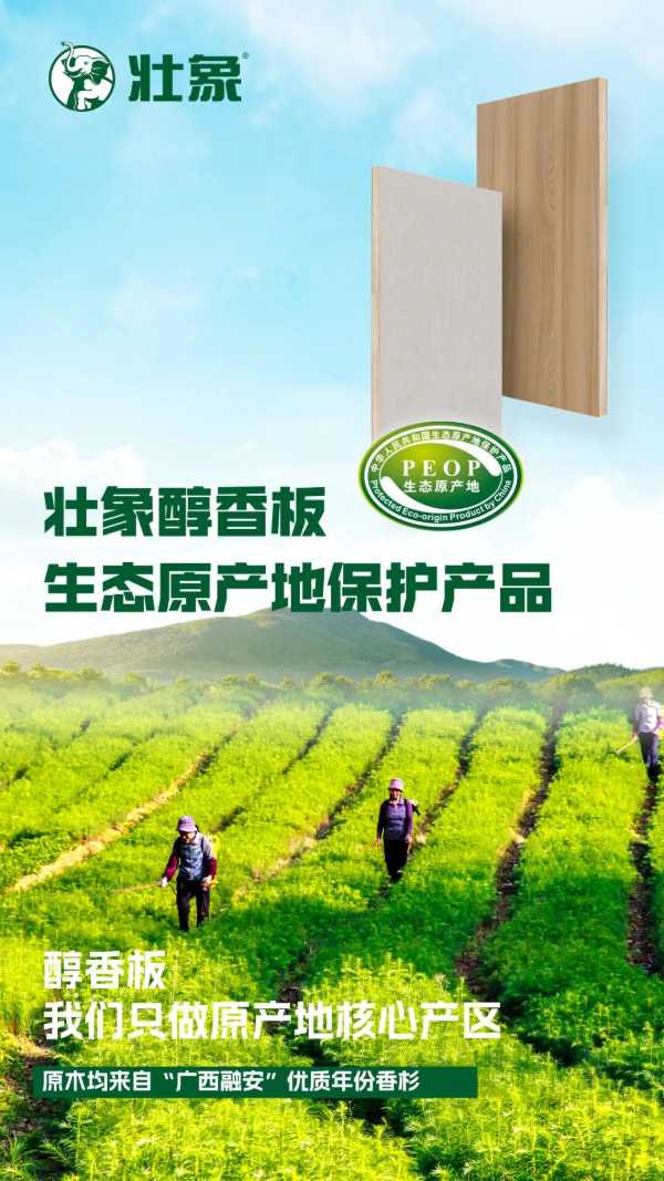 厉害！融安这家企业荣获