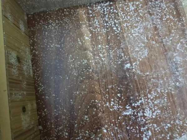 流感季，守护家的健康防线，雪宝板材来撑腰！