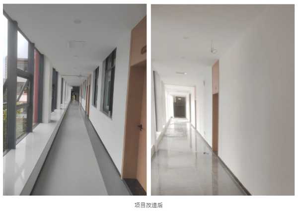 打造现代化办公空间 三棵树助力江西高校办公楼焕新升级