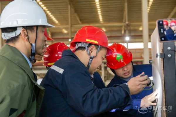 丰林集团 2025 年职业技能大赛：以技破局，凭质取胜