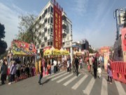 桃花村生态板亮相南海花市，共添新春生活色彩