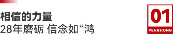 齐心聚力，启鹏鸿新征程