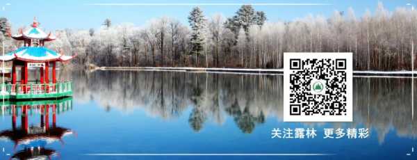 多部门联合开展专项宣传 筑牢森林资源保护防线