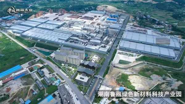 喜报｜湖南鲁丽木业有限公司荣膺湖南家协副会长单位