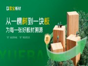 揭晓雪宝板材46道工序之木材烘干，探秘“质”胜之道！