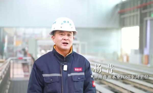 《“新”欣向荣——聚焦永州新质生产力》：从一棵树到一个家 看鲁丽木业如何追“绿”