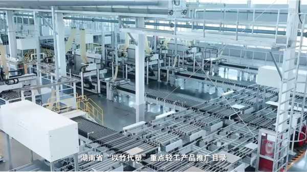 《“新”欣向荣——聚焦永州新质生产力》：从一棵树到一个家 看鲁丽木业如何追“绿”