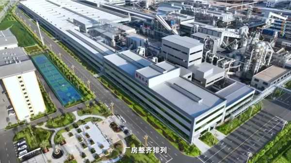 《“新”欣向荣——聚焦永州新质生产力》：从一棵树到一个家 看鲁丽木业如何追“绿”