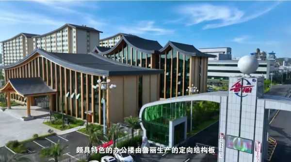 《“新”欣向荣——聚焦永州新质生产力》：从一棵树到一个家 看鲁丽木业如何追“绿”
