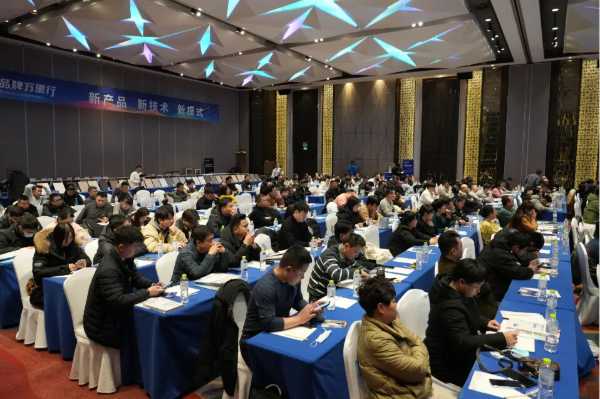 拥抱2025，点亮25城！新港仿生精板2024品牌万里行圆满收官！