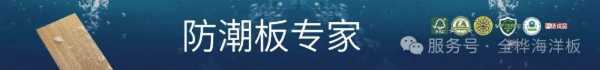全桦海洋板：高防潮倾心之选，筑就清爽舒适家
