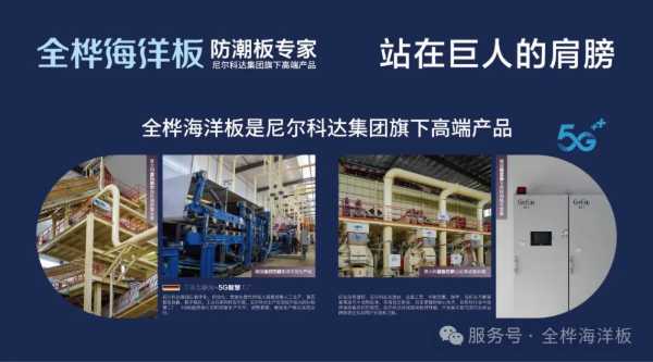 全桦海洋板：高防潮倾心之选，筑就清爽舒适家