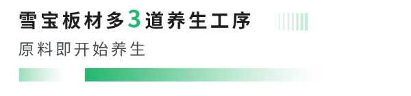 揭晓雪宝板材46道工序之木材养生，探秘“质”胜之道！