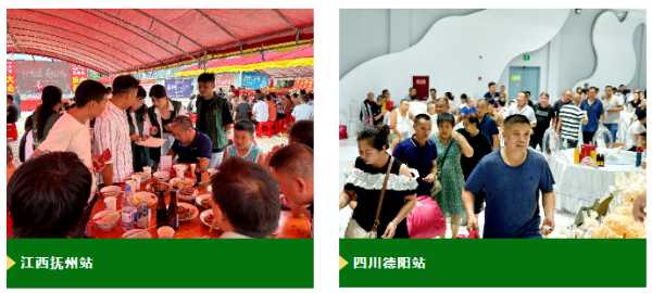 2024年度乡镇活动回顾|兔宝宝与你共度的“惊喜”瞬间！