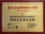 荣耀时刻|兔宝宝荣膺“板材行业领先品牌”