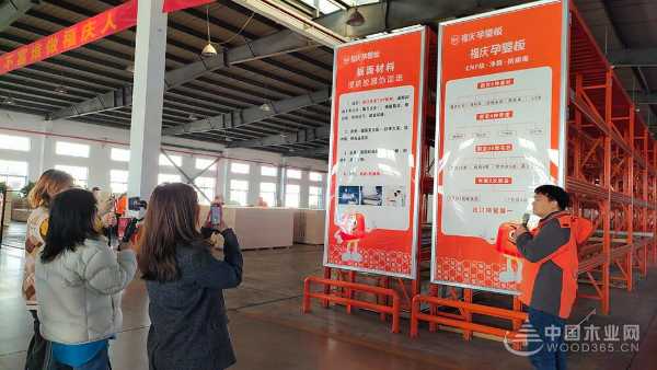 福庆孕婴板绿色工厂开放日：领略品质工艺，守护孕婴未来