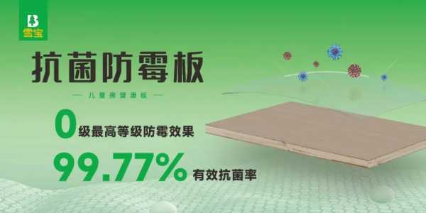 雪宝功能型板材，颜值与实力并存，健康家居装修品质首 选