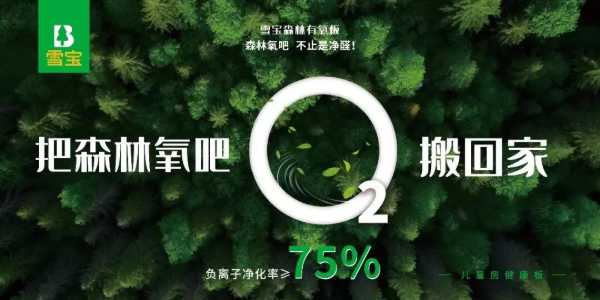 雪宝功能型板材，颜值与实力并存，健康家居装修品质首 选
