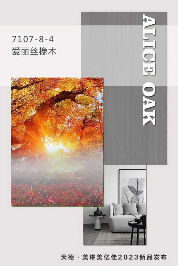 天德美亿佳2023新品花色：爱丽丝橡木