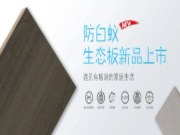 益家居新品防白蚁生态板系列上市