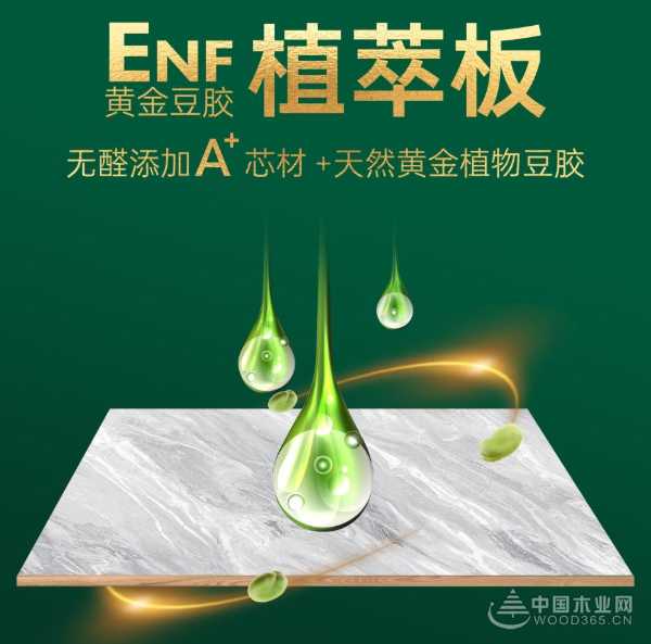纯天然无添加 金利源ENF黄金豆胶植萃板实力守护健康安全家
